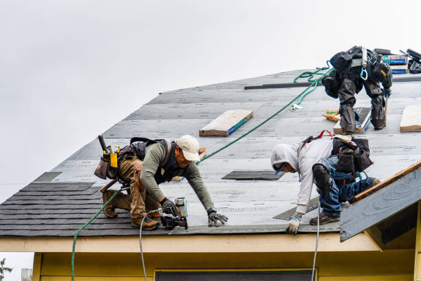 Professional Flat Roof Repair technician working in Casey, IL